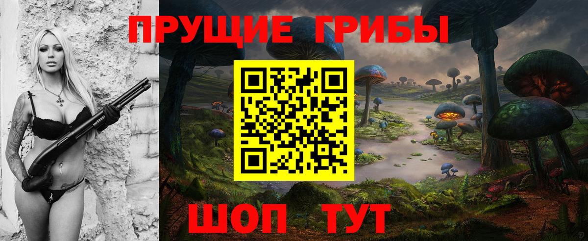 Псилоцибиновые грибы Cubensis Мелеуз